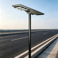 Farola Solar LED Regulable CHZ con Tecnología de Iluminación Adaptativa, Lámpara para Exteriores