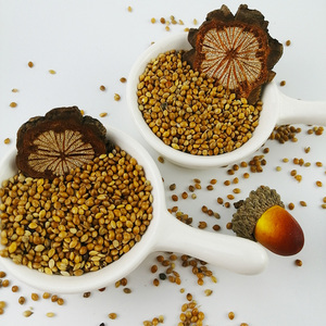 <span class=keywords><strong>Millet</strong></span> perlé hybride de qualité supérieure, jaune, blanc, rouge, doré, en vrac, fourni par l'usine - Product Image 6