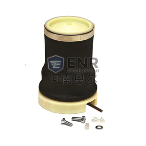 OE No. 5001836461 ammortizzatore sospensioni Jackie parti durevoli nuovissime parti <span class=keywords><strong>originali</strong></span> di personalizzazione per RENAUL T - Product Image 2