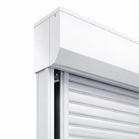 Porte à enroulement électrique européenne en alliage d'aluminium, extérieure, résidentielle, commerciale, automatique, télécommandée, taille personnalisable