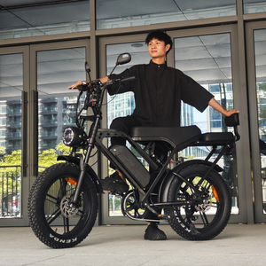 Vélo électrique X80Pro 20 pouces Fatbike X80 Pro, moteur puissant 250W, vélo électrique confortable à conduire, prix compétitif. - Product Image 3