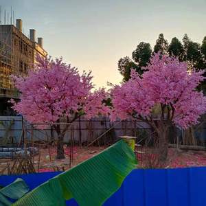 Vendita calda fiore di ciliegio artificiale albero di ramo interno in fibra di vetro di nozze arco albero <span class=keywords><strong>con</strong></span> <span class=keywords><strong>fiori</strong></span> per la progettazione del paesaggio - Product Image 6