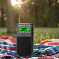 Anpassbare W-203 Radio/Ein-Klick-Schalter Verdoppeln Sie die Aufregung/AM/FM/SW-Radios sind heiß verkauft.
