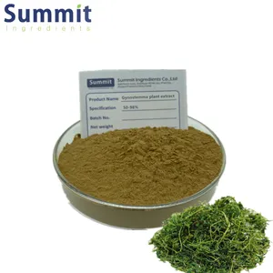 High Quality 98% Gypenoside Gynostemma Plant Extract Powder