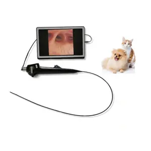 Pc Laptop Economic Animal Bronchoscope Handheld Portable Veterinary Video Endoscope Price