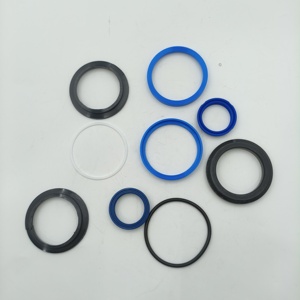 ערכת חותם צילינדר 51311365 מתאים עבור חרוץ חלקי מלגזה וחלקי חילוף - Product Image 2