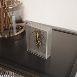 <span class=keywords><strong>Cadre</strong></span> <span class=keywords><strong>photo</strong></span> 3D en acrylique personnalisé avec logo pour spécimen d'insecte - Product Image 3