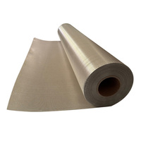 Papel de Mica Muscovita de 0.1mm y 0.2mm para Protección Térmica de Baterías de Vehículos Eléctricos, Aislamiento Resistente al Fuego, Rollo, Suministro a Granel