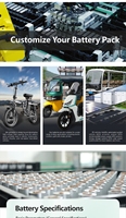Batería de litio Paquete de batería de iones de litio de larga duración para triciclos de motocicletas eléctricas que admiten un largo alcance 200-300KM