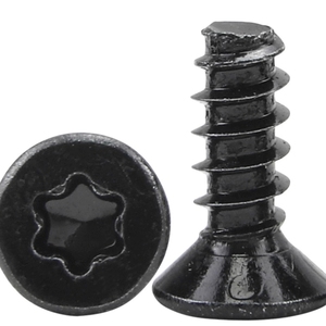 Thép Đen Kẽm Mạ Chìm Đầu <span class=keywords><strong>Pt</strong></span> Chủ Đề Vít Torx Ổ Đĩa Chủ Đề Hình Thành Vít Cho Nhựa - Product Image 2