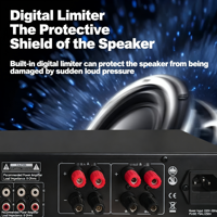 Processeur audio numérique DSP-100, amplificateur de puissance tout-en-un, stéréo classe AB, anti-feedback, mixeur pour salle de classe, salle de conférence, 2x150W
