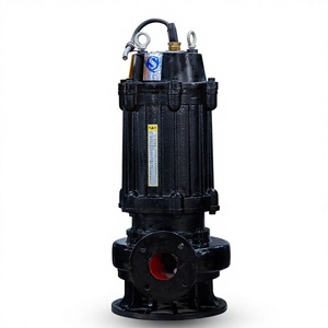 Plant submersible sewage <b>pump</b> 380V - Product Image 2