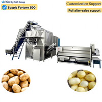 Baiyu Automatische Stoomschilmachine voor aardappelverwerkingsfabrieken met hoog rendement groenteschilsysteem