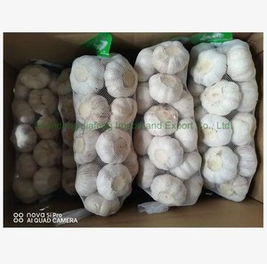 <span class=keywords><strong>Ajo</strong></span> Fresco Blanco Puro Chino de Primera Calidad, Saludable para Cocinar, Empacado en Bolsa de Malla para el Mercado - Product Image 6