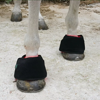 Thérapie par lumière rouge et infrarouge proche Horse Hock Leds Triple Chip 660nm 850nm pour soulager la douleur au genou du cheval