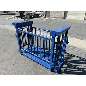Báscula para Ganado USA Measurements US-BC7120HD Big Blue (1,000 lb X 0.1 lb) - Product Image 3
