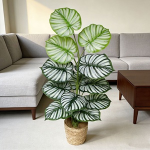 Nouvelle Collection : Ornements <span class=keywords><strong>D</strong></span>écoratifs Artisanaux en Plastique, Répliques Réalistes au Toucher, 15 Variétés <span class=keywords><strong>d</strong></span>'Alocasia Macrorrhiza pour l'Intérieur - Product Image 4