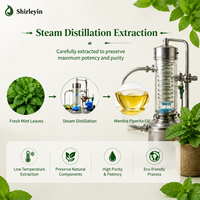 Huile Essentielle de Menthe Poivrée de Qualité Alimentaire Chinoise 100% Pure et Biologique pour Diffuseur Sans Eau, Extrait de Feuille de Menthe Piperita en Vrac
