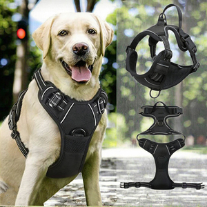 Luxury Designer Polyester Nylon Pet Dog Harness Leash Set Comfortable Warm Padded Stylish Sport Style Pet Supplies Custom Logo - Product Image 2