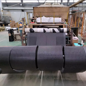 Membrane alvéolée en PEHD pour drainage des cavités, solution de drainage géosynthétique imperméabilisante - Product Image 5