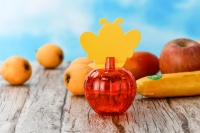 Indoor keukenkwekerij gazon milieuvriendelijke wegwerp plastic vliegenvanger fruitvallen suikeraas kleefplaat insectenbestrijding vlooien planten