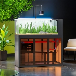 Stile industriale Open View Aquascape acquario lato Overflow serbatoio filtro a bassa manutenzione <span class=keywords><strong>fiume</strong></span> flusso ecosistema per i <span class=keywords><strong>pesci</strong></span> - Product Image 2