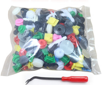 Nouveaux clips et boucles de fixation rapide pour automobile (plastique/nylon) pour pièces automobiles - Rétrofit/Amélioration 500 pièces/sac