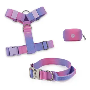 Ensemble collier et laisse de chien tactique personnalisé de nouveau design, rembourré doux réglable multicolore de luxe avec harnais pour chien robuste