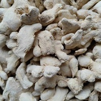 Meilleures ventes : Blocs de gingembre cru séché de qualité supérieure, arôme intense, saveur piquante, pour la cuisine, les tisanes et les remèdes naturels, Guangxi, conservation 24 mois
