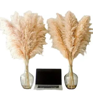 Flores Secas Pu Wei con Pelaje Gris, Cañas Grandes, Decoración de Boda Pu Wei, Estilo Nórdico, Pequeñas Cañas de Flores Secas - Product Image 3