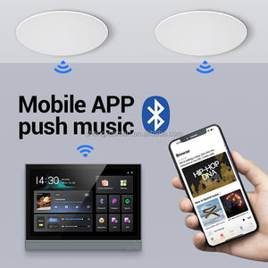 नया डिजाइन 7 "स्मार्ट होम स्पीकर वॉल एम्पलीफायर टच स्क्रीन वाई-फाई टच स्क्रीन वाई-फाई नियंत्रण पैनल एंड्रॉइड 11 स्वचालन प्रणाली के साथ - Product Image 3