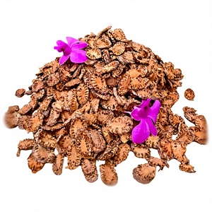 Rodajas de Flor de Palma Toddy a Precio Competitivo, Rodajas Secas de Palma Macho Palmyra, Rodajas de Borassus Flabellifer de Alta Calidad a Granel - Product Image 1