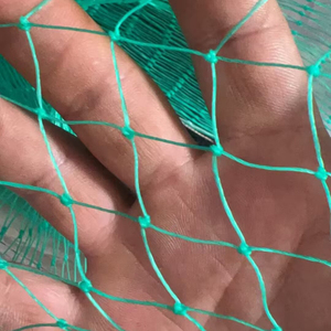Filet <span class=keywords><strong>anti</strong></span>-oiseaux vert durable noué / Filet <span class=keywords><strong>anti</strong></span>-pardessus 100 % HDPE / Filet de protection <span class=keywords><strong>anti</strong></span>-oiseaux en plastique - Product Image 3