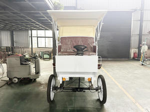Buggy électrique de tourisme classique Victoria de haute qualité avec sièges confortables – Voiture de luxe pour sites touristiques et hôtels - Product Image 1