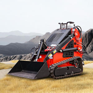 Spedizione gratuita cina famoso produttore SDXG mini skid steer loader diesel motore a benzina - Product Image 2