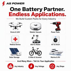 Op maat gemaakte lithium batterijpakketten OEM snelle prototyping 3-7 dagen prototype elke spanning capaciteit formaat voor drone stofzuiger elektrisch gereedschap robot - Product Image 2