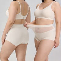 Fabricants de sous-vêtements OEM – Culottes boxer respirantes en soie transparentes sans couture taille haute pour femmes grandes tailles