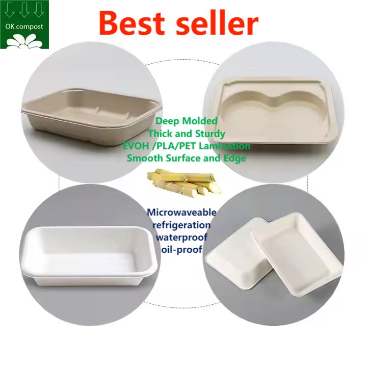 SKU-00 Hot sale  bagasse tray