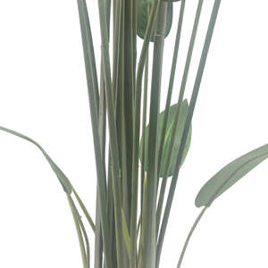 CHUANGFA 210cm Plástico Artificial <span class=keywords><strong>Canna</strong></span> Lily Tree para Navidad Acción de Gracias Pascua Año Nuevo Halloween Día de San Valentín Boda - Product Image 2