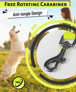 Proveedores de Dropshipping correa de <span class=keywords><strong>perro</strong></span> de doble gancho <span class=keywords><strong>Collier</strong></span> Metalique correa de <span class=keywords><strong>perro</strong></span> impermeable de Pvc - Product Image 2