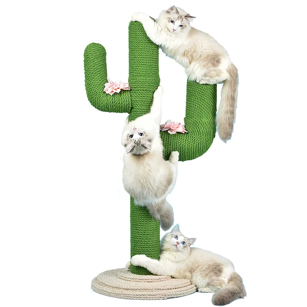 Schattige Cactus Vorm Kat Toren Verticale Duurzame Kat Krabber Met Sisal Bal
