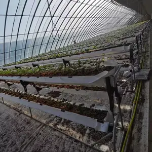 Glass Greenhouse Hydroponics Growing System Hydroponic Tower Vertical