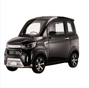 New Style Big Power 2200W Electric 4 Wheel Mini Car, Disc Brake New Energy Vehicles For Elder Adults
