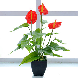 Plantes artificielles, fleurs de calla avec pot <span class=keywords><strong>noir</strong></span>, bonsaï pour la maison - Product Image 3