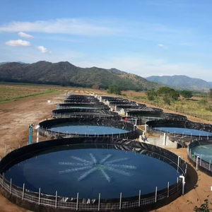 Kháng UV Tùy Chỉnh Màng Đất 2Mm HDPE Dễ Dàng Vận Chuyển Ao Lót Không Thấm Nước Geomembranas Cho Bể Cá Đập Lót - Product Image 3