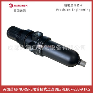 Filtre-régulateur Norgren à montage sur tuyau B07-233-A1KG 1/4 pouce, gaz pneumatique - Product Image 1