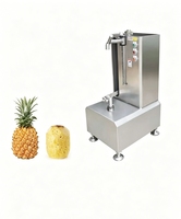 Ananas Schiller, Ontpitter, Verwerkings- en Snijmachine Leverancier