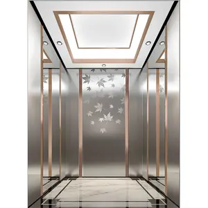 Hot Selling Passenger Price Elevator Building Lift Elevator 630kg Lift Passenger Elevator Price In China