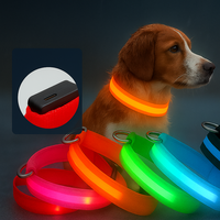 Collier Lumineux LED Rechargeable USB-C en Nylon, Clignotant pour Chiens, Brille dans le Noir pour la Sécurité des Promenades Nocturnes