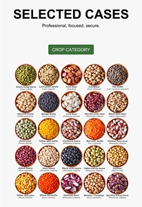 Trieur de couleurs multispectrale WENYAO pour le tri de qualité des arachides, des amandes et des noisettes, performances supérieures - Product Image 3